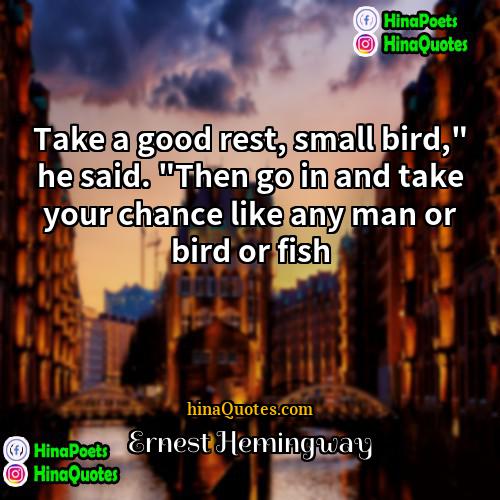 Ernest Hemingway Quotes | Take a good rest, small bird," he